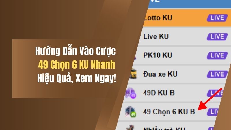 Hướng Dẫn Vào Cược 49 Chọn 6 KU Nhanh, Hiệu Quả, Xem Ngay! 2 huong dan vao cuoc 49 chon 6 ku nhanh hieu qua xem ngay