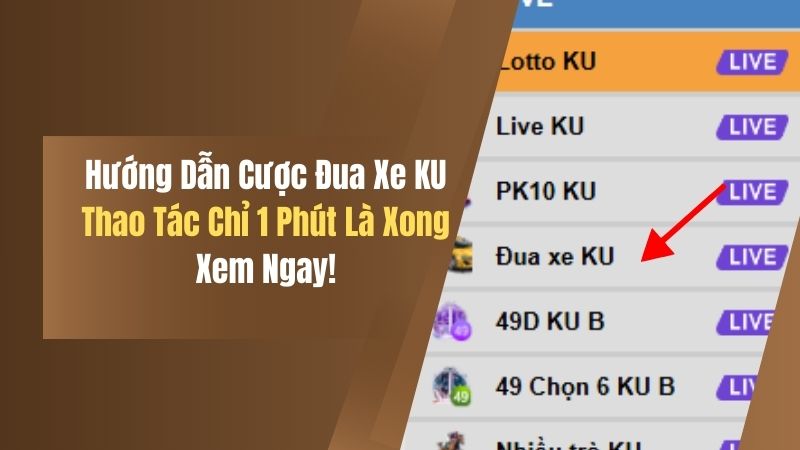 Hướng Dẫn Vào Cược Đua Xe KU - Thao Tác Chỉ 1 Phút Là Xong 3 huong dan vao cuoc dua xe ku thao tac chi 1 phut la