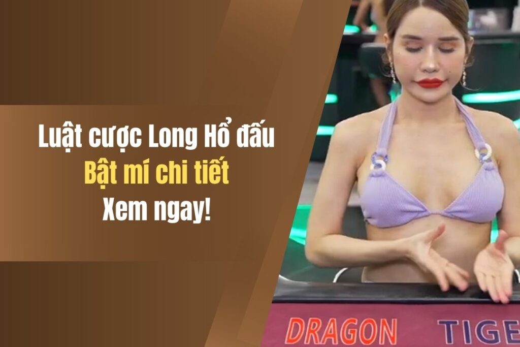 Luật Cược Long Hổ Đấu Như Thế Nào? Khám Phá Ngay! 6 luat cuoc long ho dau nhu the nao kham pha ngay